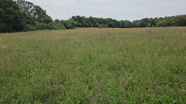 Itchen Valley Country Park - Southampton