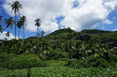 photo of Grand Anse beach