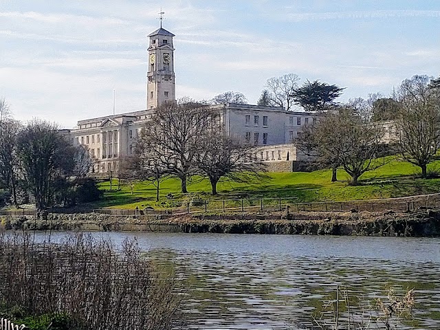 Place around image