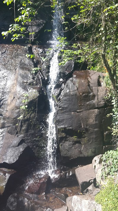 Photos of Karkloof Canopy Tour