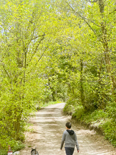 Intake Campground - Visual