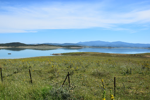 Presa de Barbate - Thumbnail