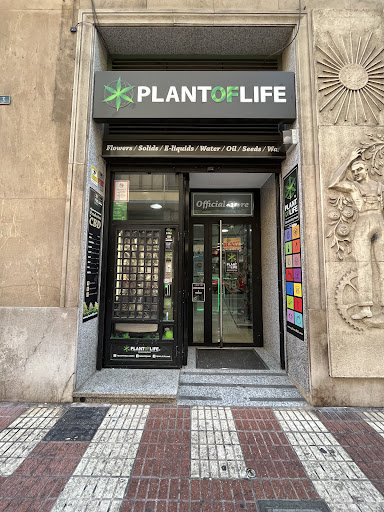 Plant Of Life Castellon CBD - Thumbnail