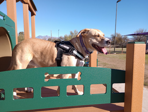 Lincoln Park (Tucson) - Thumbnail