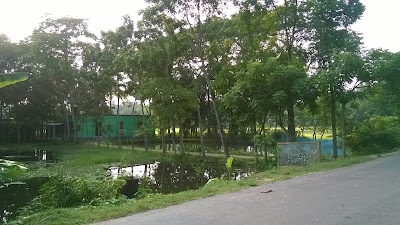 Photos of Domrakandi Jame Masjid