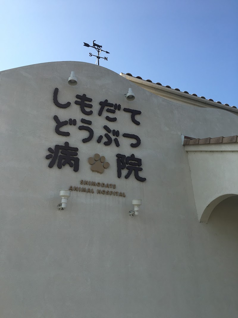 しもだてどうぶつ病院