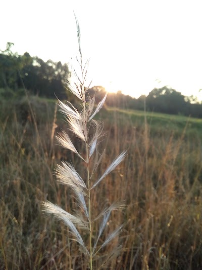 Photos of সাইংজুরি