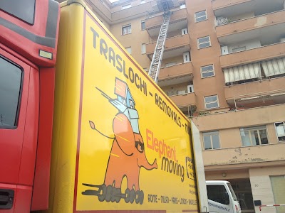 Photos of Elephant Moving Traslochi Trasporti nazionali-internazionali