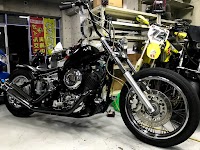 BLUE DOC (ブルードック)