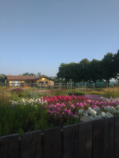 Vivaio I Giardini Dell'Indaco - Thumbnail