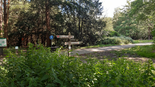 Startplaats wandelen Staatsbosbeheer - Thumbnail