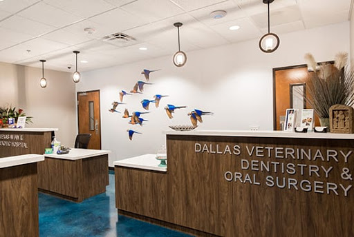 Dallas Veterinary Dentistry & Oral Surgery - Thumbnail