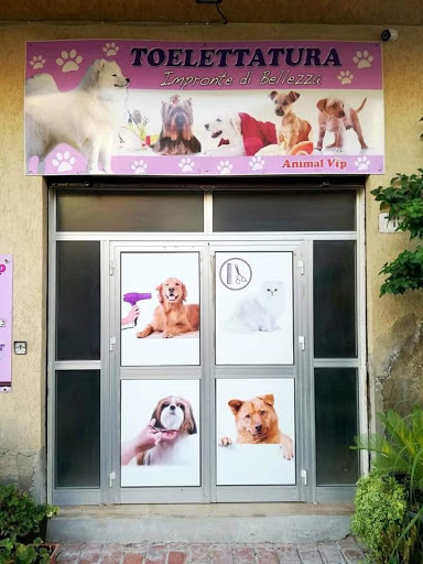 animal vip Racalmuto - Thumbnail