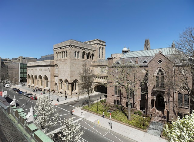 The Yale University Art Gallery