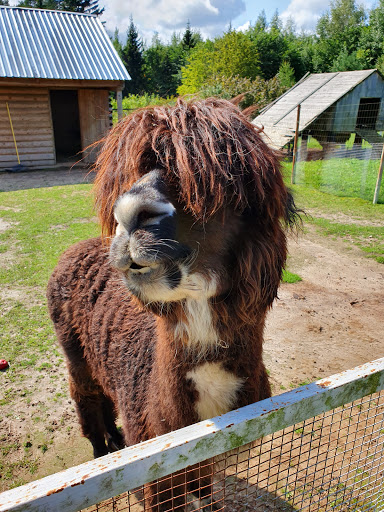 Mini Zoo Rozite - Thumbnail