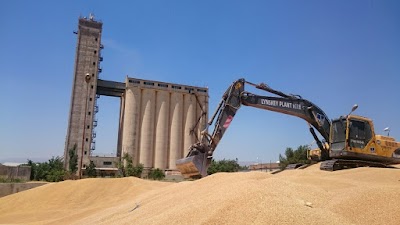 Photos of silo zaxo