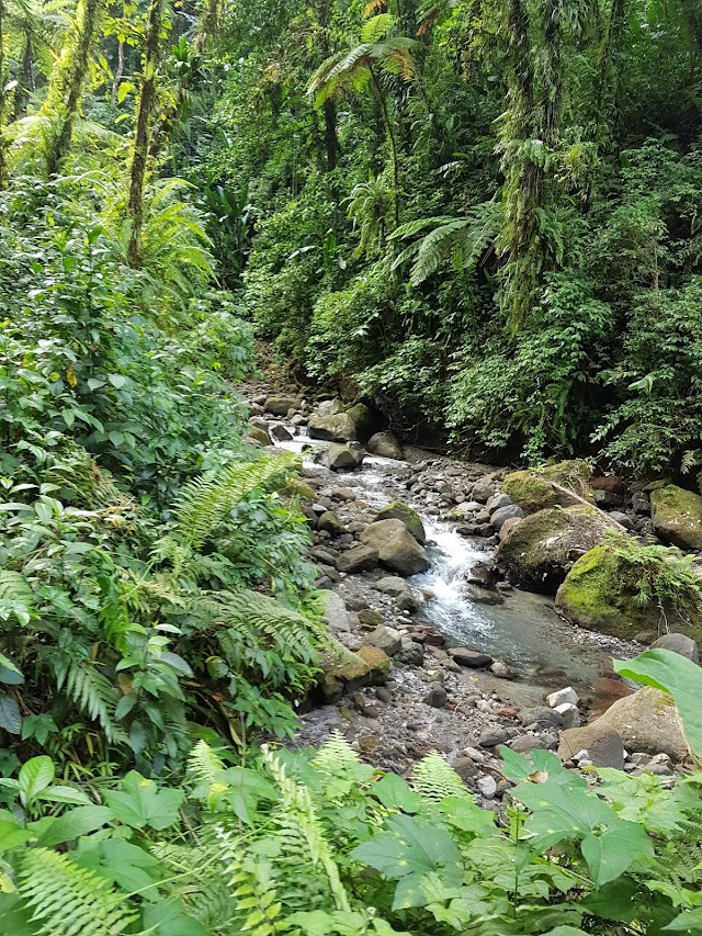 Gorges de la Falaise