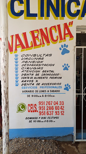 Clínica veterinaria y estética canina Valencia - Thumbnail