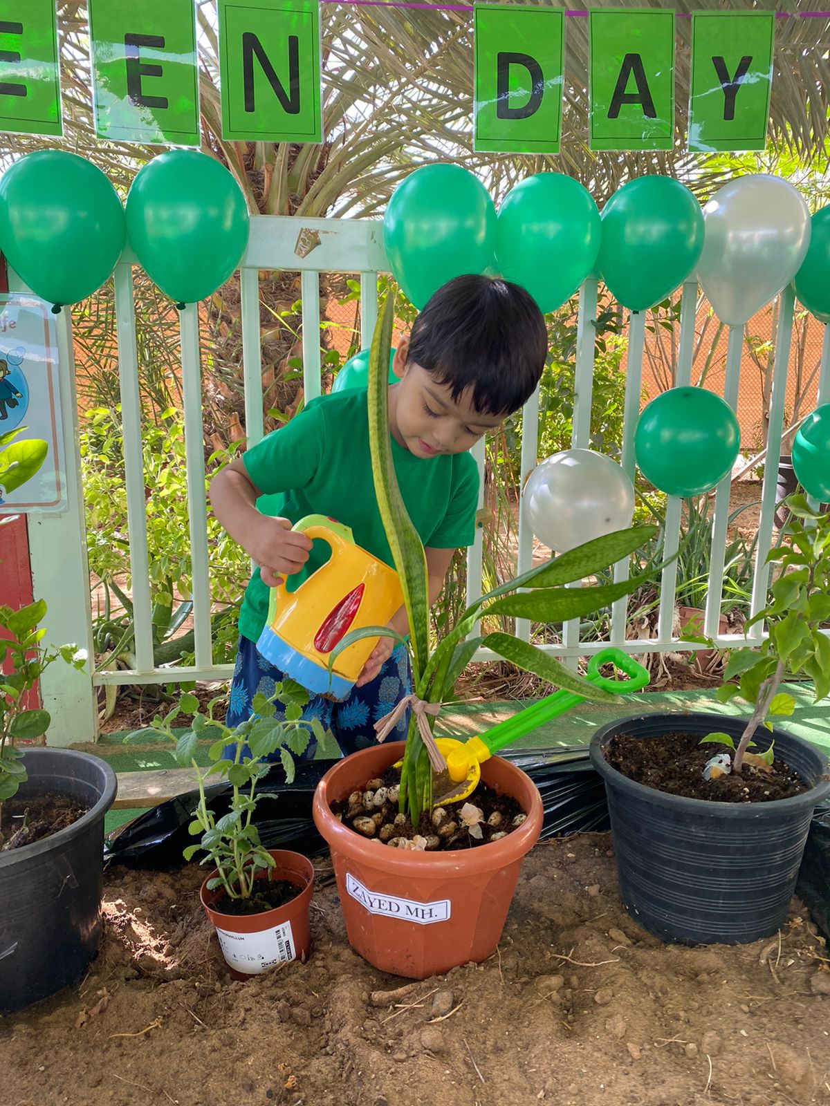 حضانة أوركارد البريطانية - صورة 5