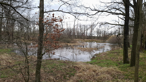 Kleiner See mit Quelle