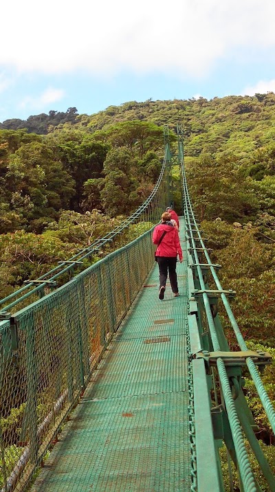 Photos of Children's Eternal Rain Forest