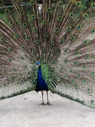 Bioland-Meedehof, Hof Upende - Thumbnail