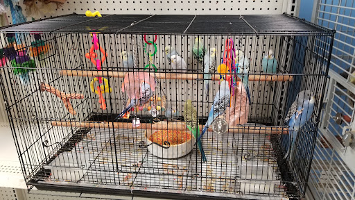 Animal Cove Pets & Pet Grooming Gallery - United States