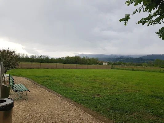 Parco di movimento per cani
