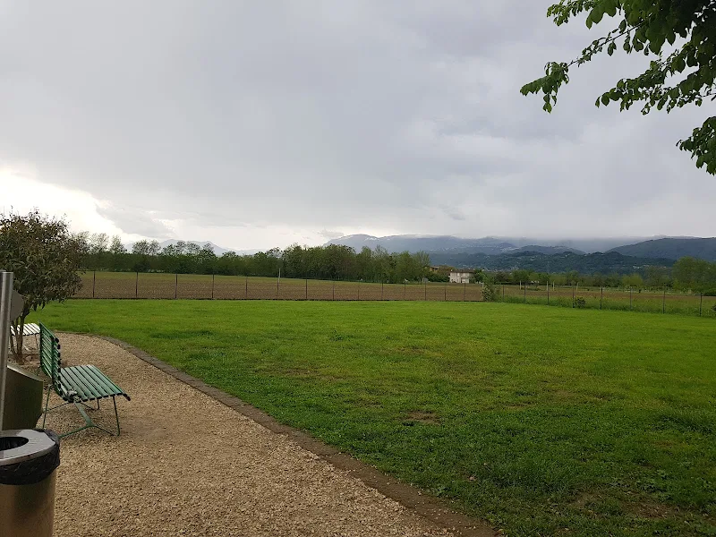 Parco di movimento per cani photo