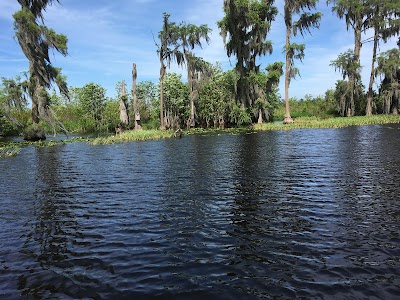 Santa Fe Swamp Conservation Area