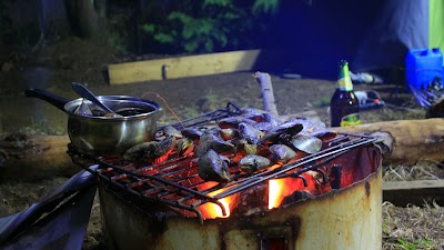 Photos of SaldiviaCamping