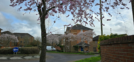Bulrush Road - Visual