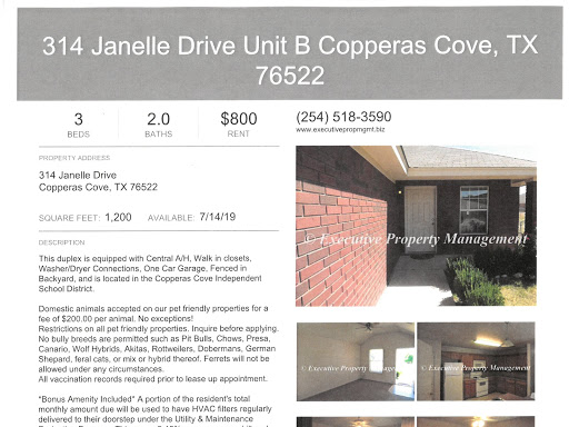 Executive Property Management - Visual