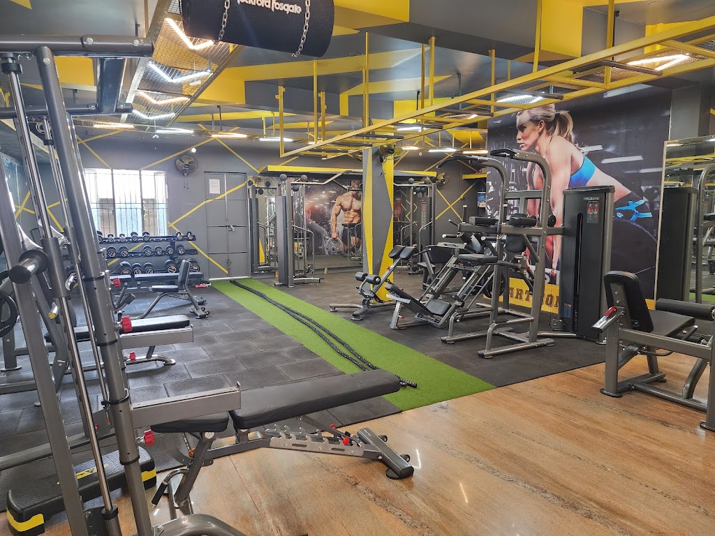 Gymcity 3 0 The Iron Garden