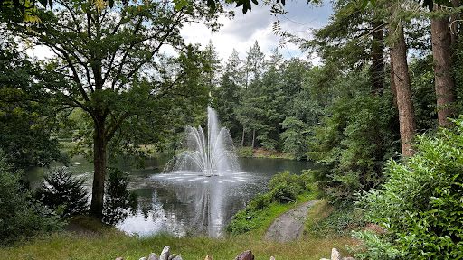 Theehuis park Berg en Bos - Thumbnail