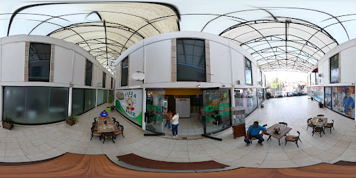site_photo2