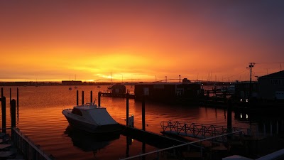 Photos of Forty 1&deg; North