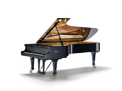 Fazioli Pianoforti S.p.A.