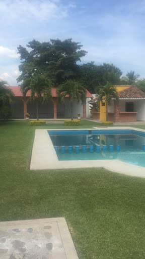 mango verde Garden