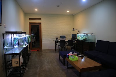 Photos of ARTQUASCAPE