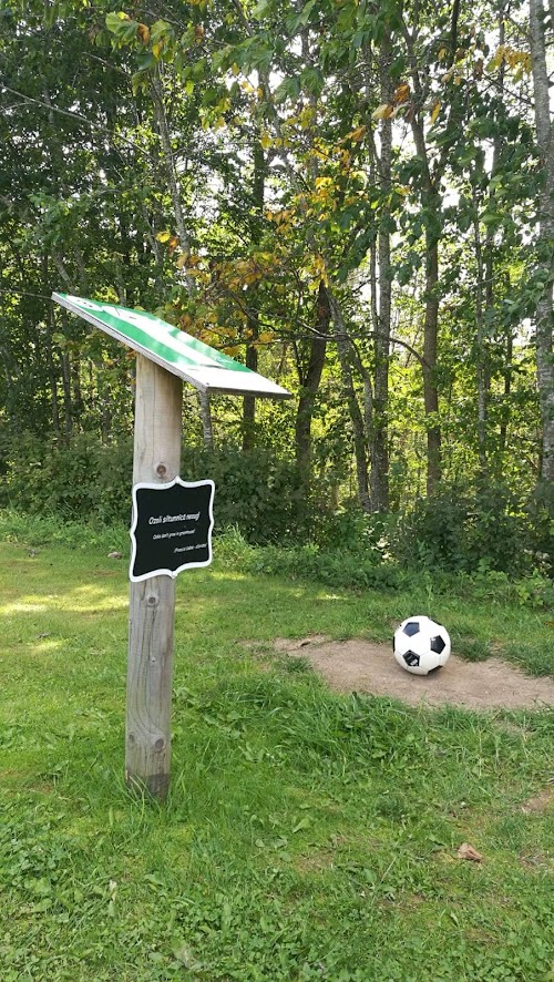 Siguldas Futbolgolfa parks
