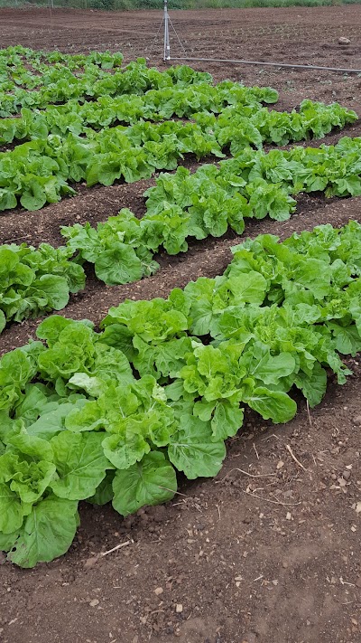 Photos of Mikleb Farms Ltd