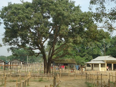 Photos of Karatia Haat