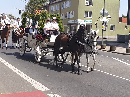 Kutschfahrten und Planwagenfahrten-Erwig