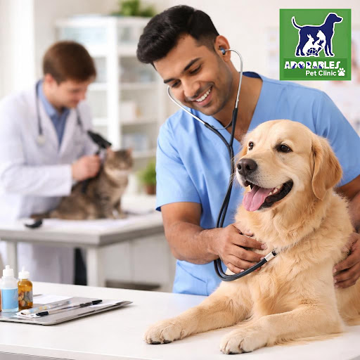 Regular health check-ups are the best gift you can give your pet. At Adorables Pet Clinic in Banj… post image