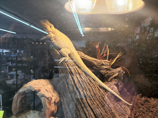 Grant Family Exotics - Thumbnail