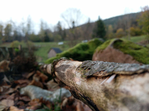 Wanderparkplatz Orgelfelsenhaus - Thumbnail