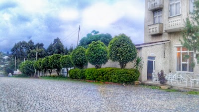 Photos of Kino Hotel