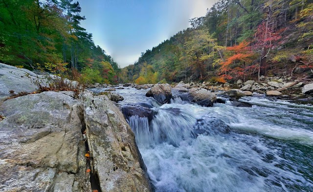 Linville Gorge Wilderness