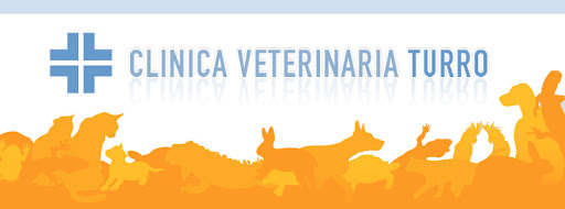 Veterinary Clinic Turro